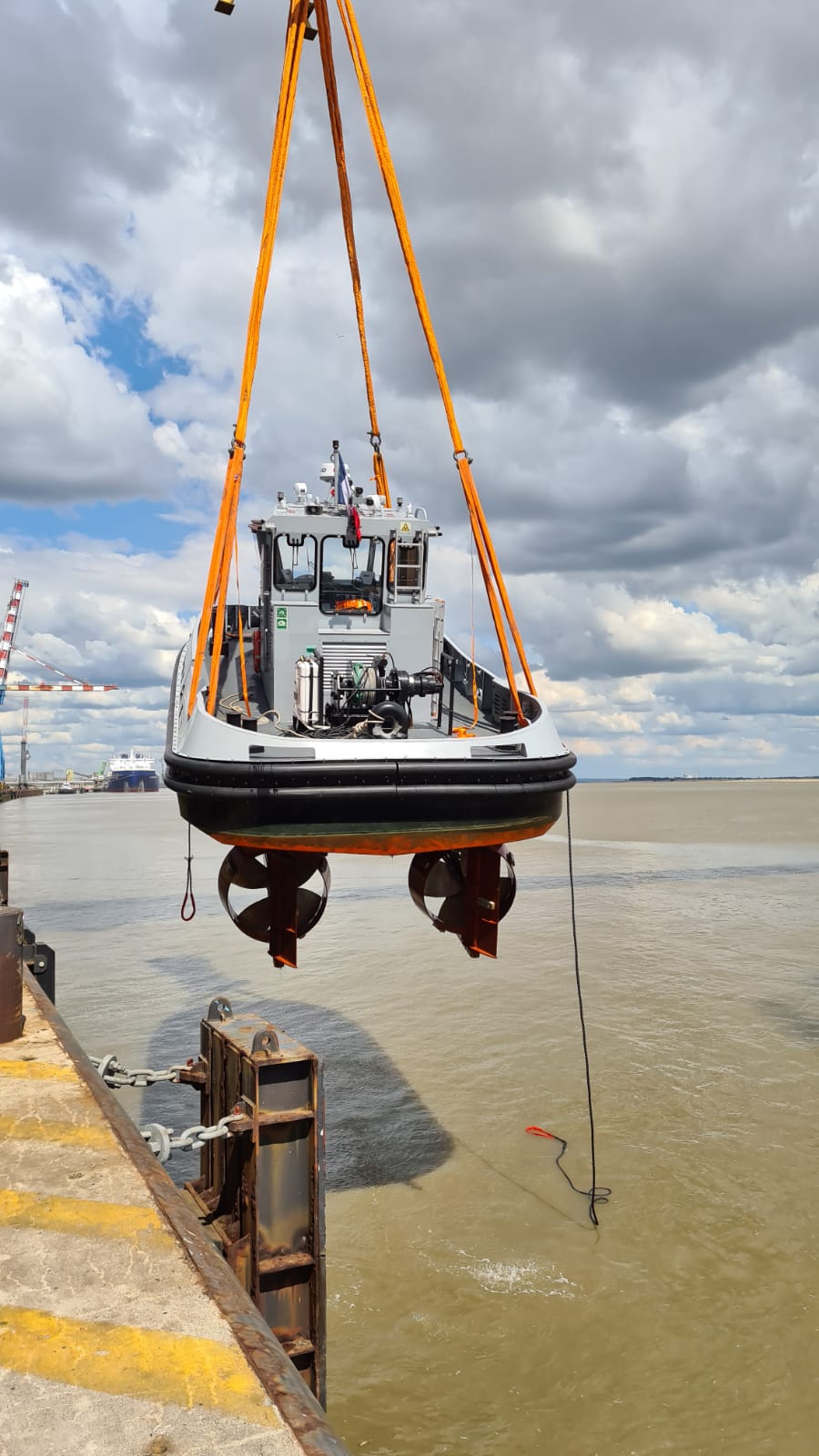 Le Vanneau 080620 (1)