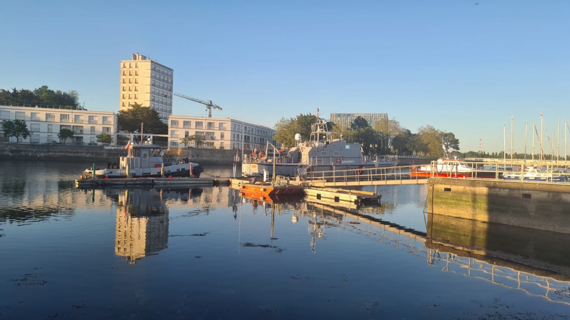 Le Vanneau 290520 (8)