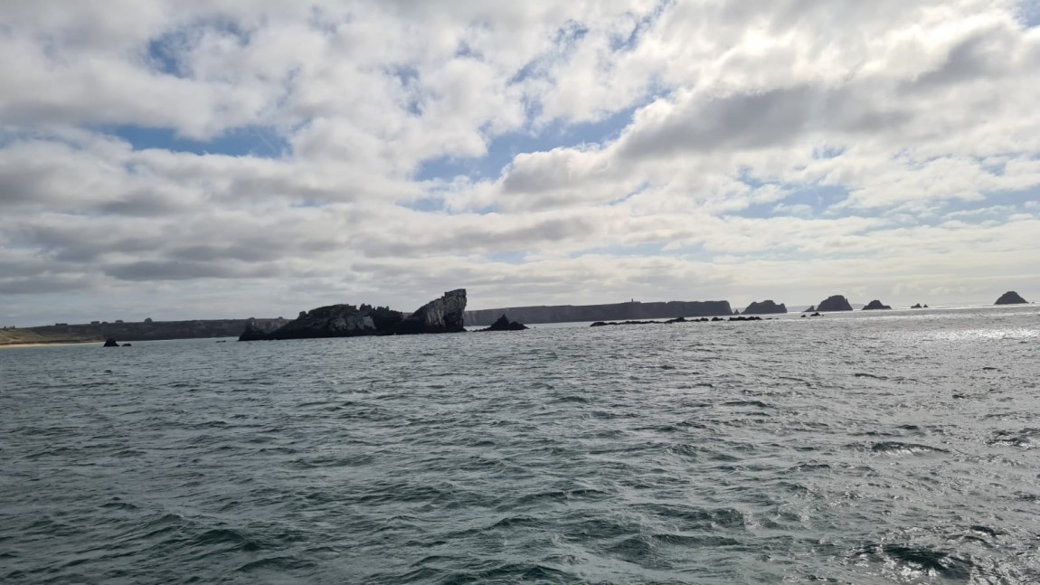 Pointe du Raz 150321 (4)